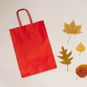 Kraft paper gift bags with printing options